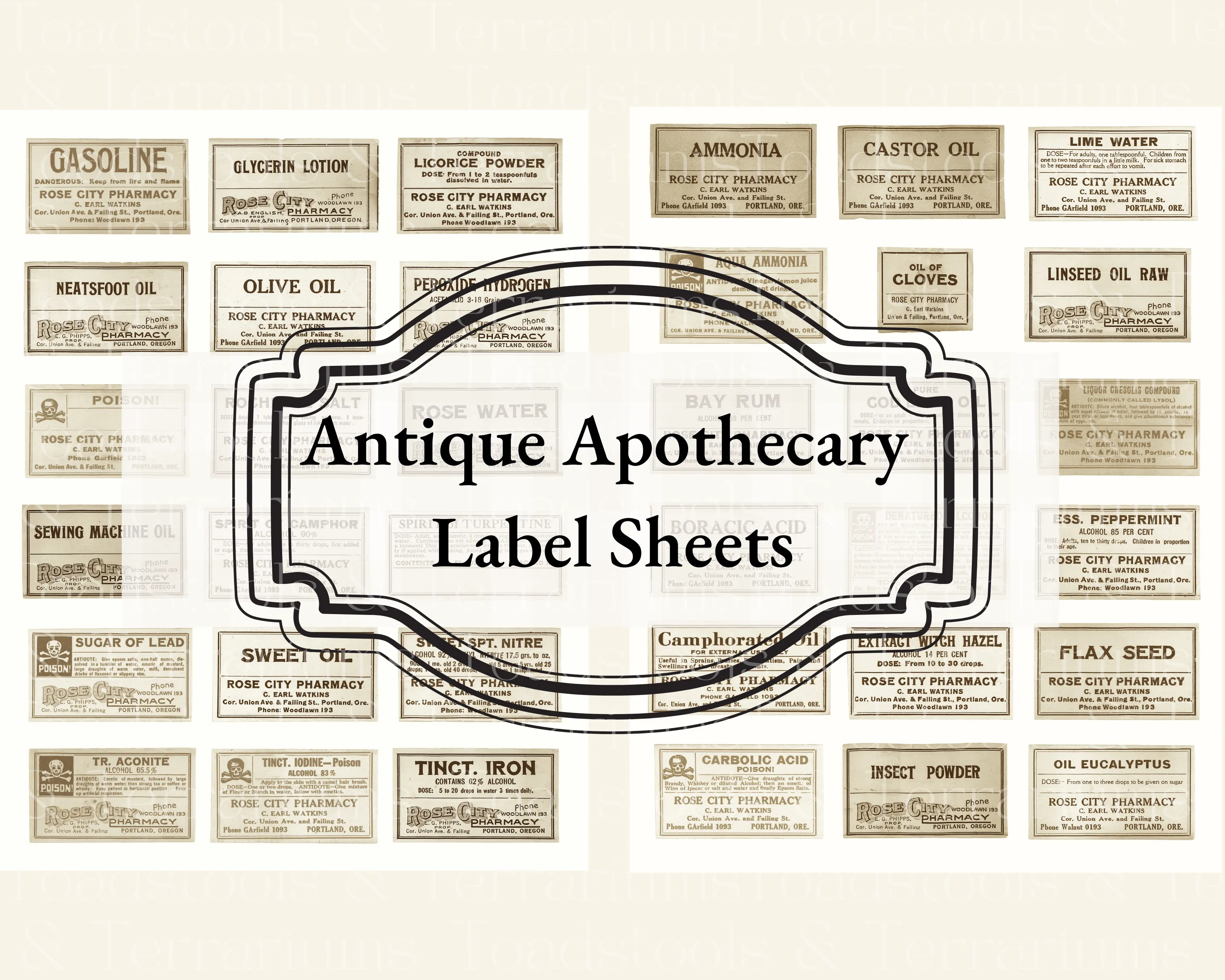 Dark Academia Goblincore Apothecary Ephemera Bundle