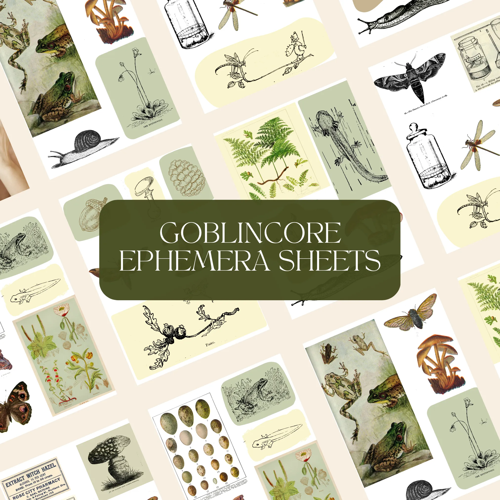 Dark Academia Goblincore Apothecary Ephemera Bundle