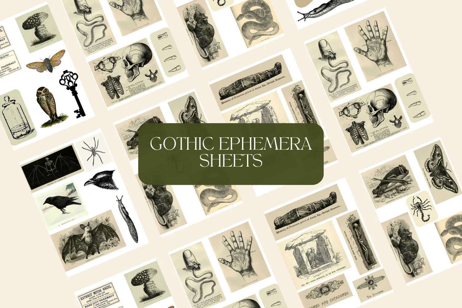 Dark Academia Goblincore Apothecary Ephemera Bundle